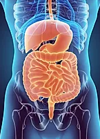 Types of Gastrointestinal Cancer